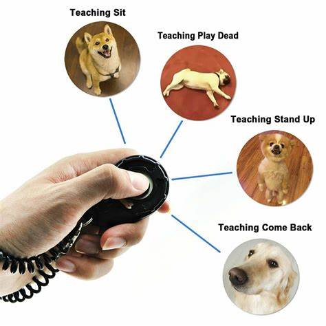 Dog Training Clickers (DTC) With Reva Electronix