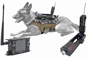 K9 Surveillance Device